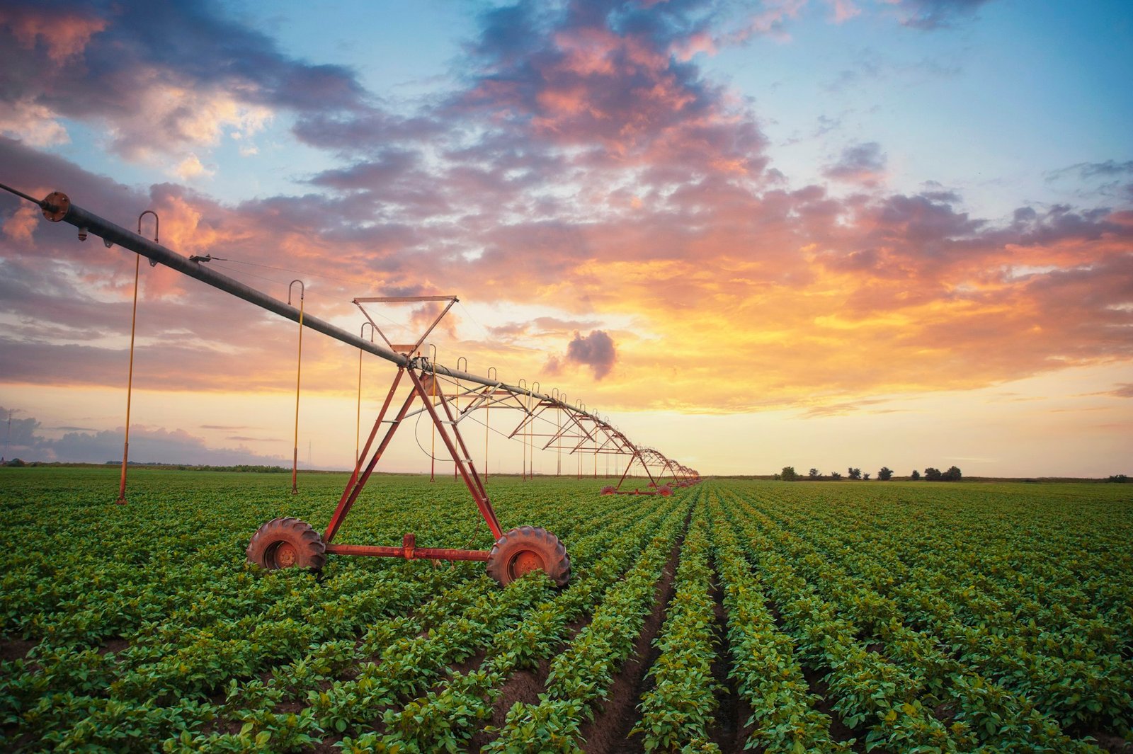 Agricultural irrigation system watering fields on sunny summer day