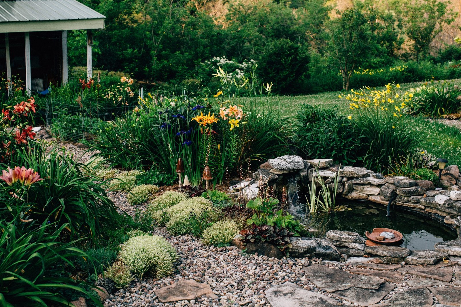 Beautiful Pond, Stone Path, and Lily Flower Garden in Wisconsin